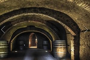 Country Wine Dinner in Chianti (Tuscany) - Ultimate Small Group Tour