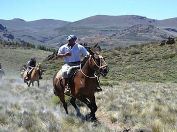 Horseback ride at San Ramon ranch