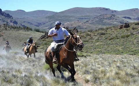 5-Day Kayaking and City Tour in San Carlos de Bariloche