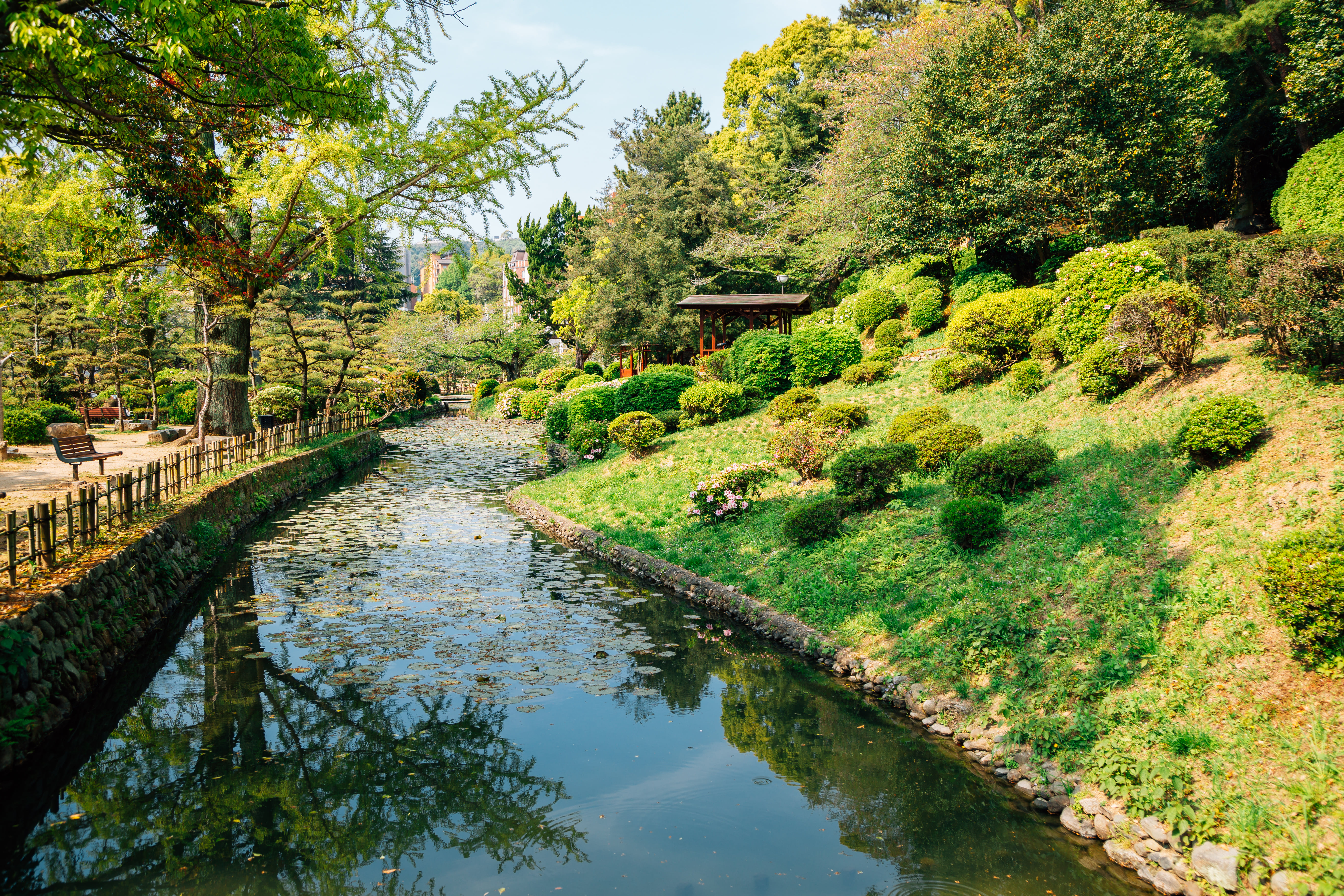 Matsuyama Private Vehicle Service with Restaurant Reservation
