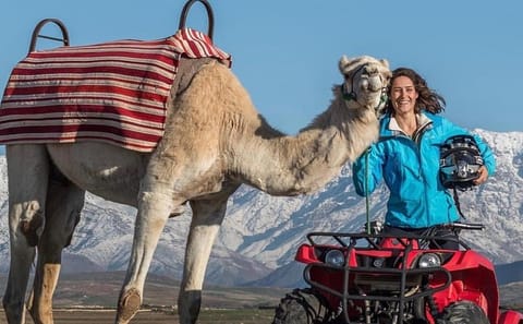 Quad Biking and Camel Ride Experience in Agafay Desert