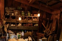 Private Luxury Boat Trip to Zaanse Schans from Amsterdam 5 hours 4