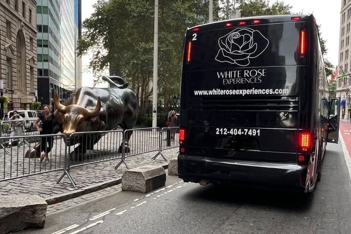 NYC: Dyker Heights Christmas Lights Express Tour