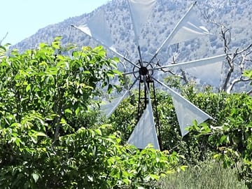 Small Group Tour to Authentic Villages Lasithi Plateau&Olive Mill