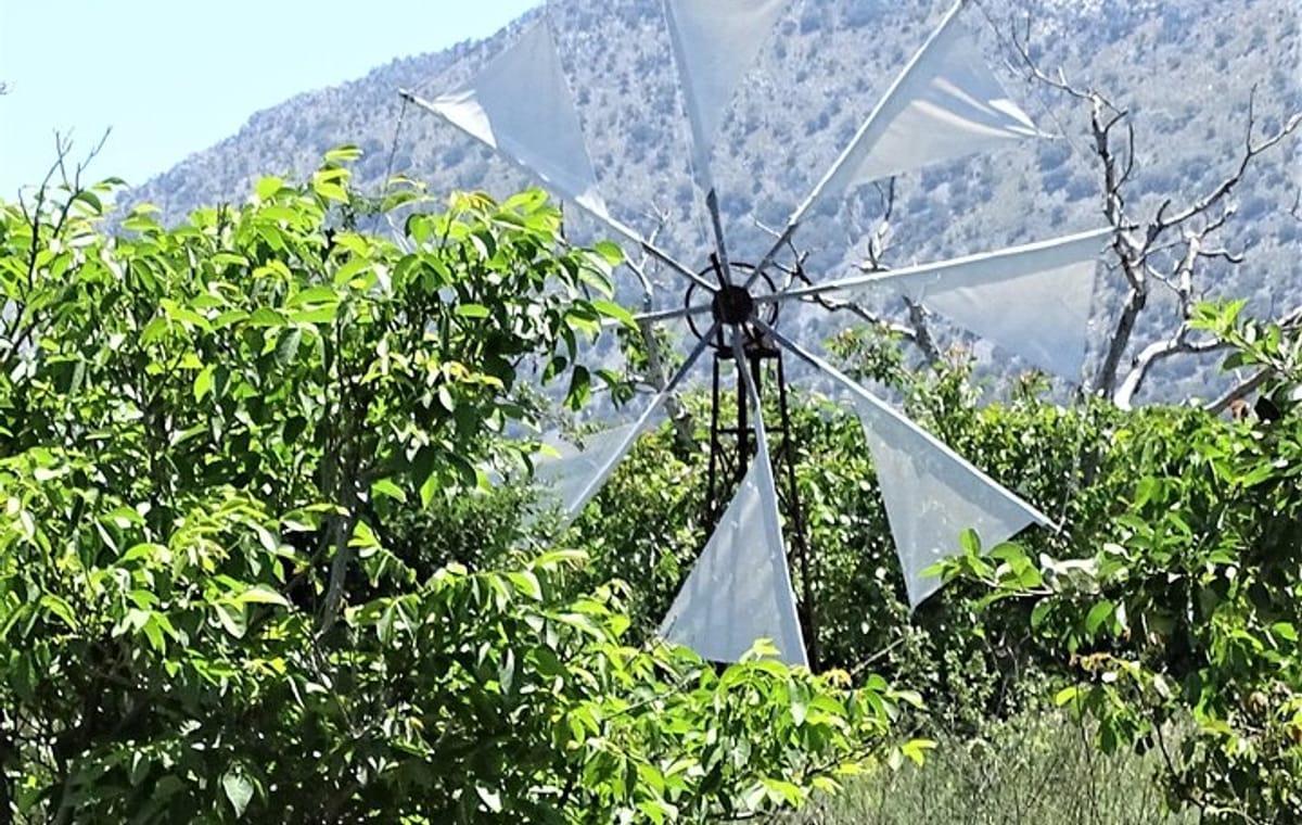 Small Group Tour to Authentic Villages Lasithi Plateau&Olive Mill