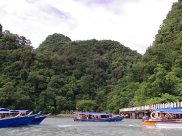 Private Guided Tour and Eagle Watching in Southern Island Geopark