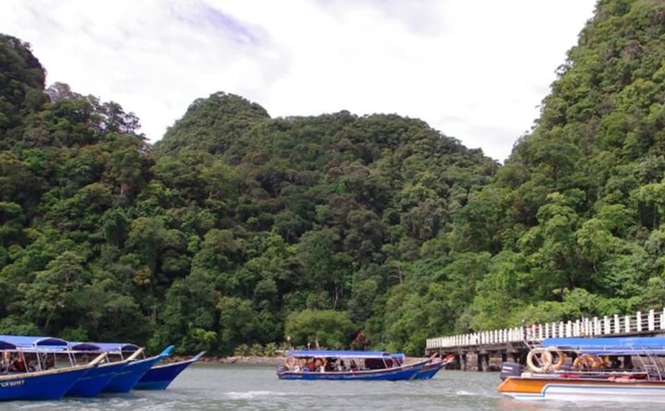 Private Guided Tour and Eagle Watching in Southern Island Geopark