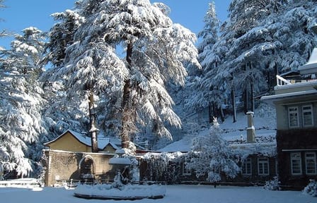 Best of Himachal Tour