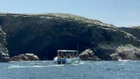 Ballestas Islands Sigthseeing Tour 9