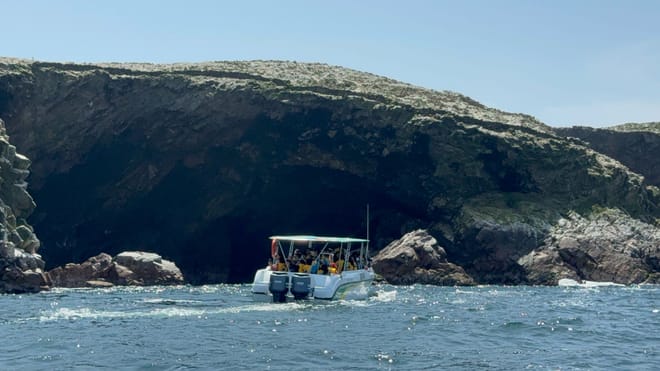 Ballestas Islands Sigthseeing Tour 9