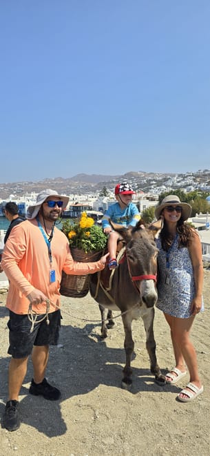 Private 4-hours Mykonos Island tour by Luxury Minibus up to 11 passengers