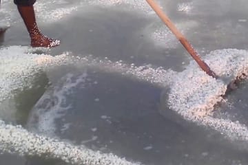 Visit Salt factory and the Famous Munneswaram Hindu Temple From Negombo