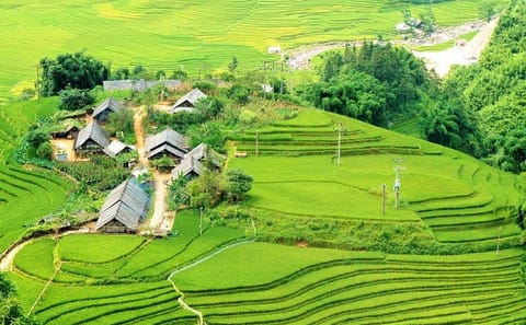 Sapa Trekking Tour from Hanoi with Homestay and Hotel Stays