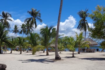 Puerto Princesa Island Hopping Tour with Lunch and Activities