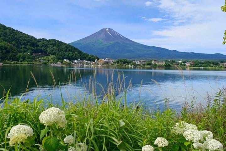 Mt. Fuji,Saiko Iyashi-no-Sato Nenba&Kawaguchi Lake 6