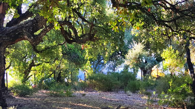 4 Days : Chefchaouen & Talassemtane Natural Parc Eco Tour | Private & Luxury 4