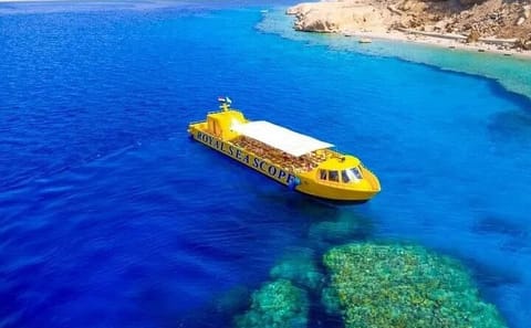 Semi-Submarine Dolphin Watching Tour in Hurghada, Egypt