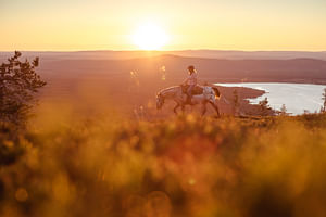 Horseback riding to the peak of Pyhä under the midnight sun