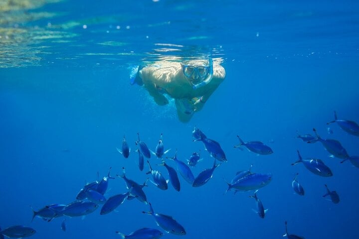 Marsa Mubarak Intro Dive & Snorkeling with Transfer : Marsa Alam