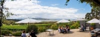 Tasmanian Whisky, Wine and Food Tour 1