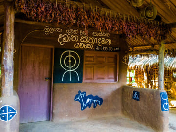 Camping and Cultural Experience in Kandy, Sri Lanka