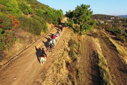 Alanya Horse Riding Experience