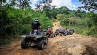 2 Hour ATV Jungle Adventure  5