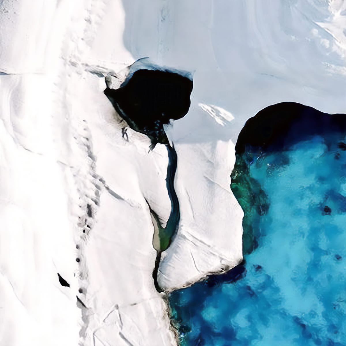 ❖ Sea Ray SDX | Private