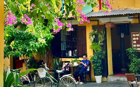 Explore Hoi An by Vespa Top City Sights and Hidden Treasures Tour