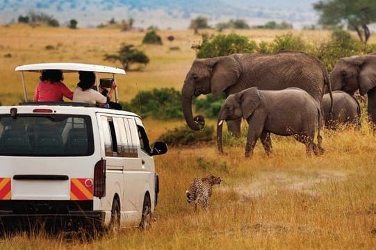 8 Days Mombasa, Tsavo East, Amboseli, Naivasha & Masai Mara Safari