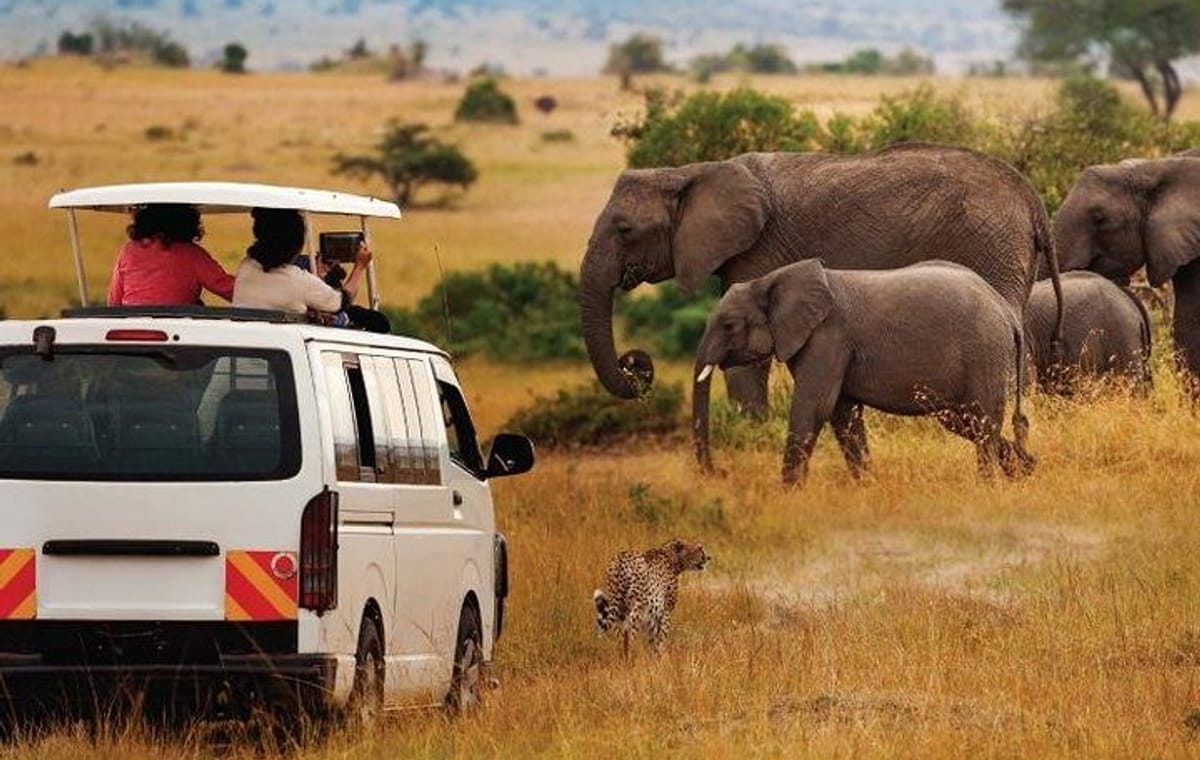 8 Days Mombasa, Tsavo East, Amboseli, Naivasha & Masai Mara Safari