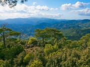 Paphos: Scenic Troodos Mountains Tour with Wine Tasting 5