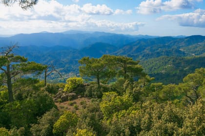 Troodos Mountains Day Trip from Paphos with Wine Tasting