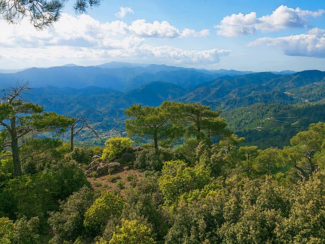 Paphos: Scenic Troodos Mountains Tour with Wine Tasting 5