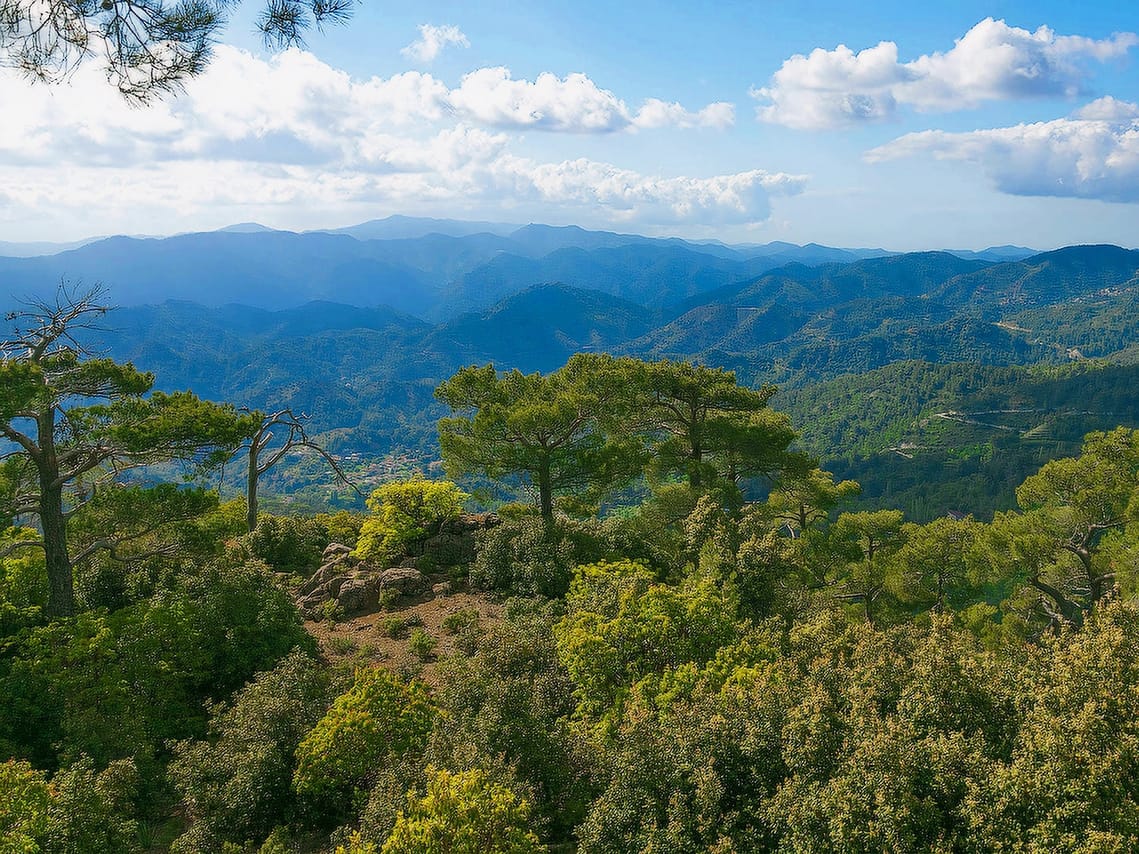 Paphos: Scenic Troodos Mountains Tour with Wine Tasting 5