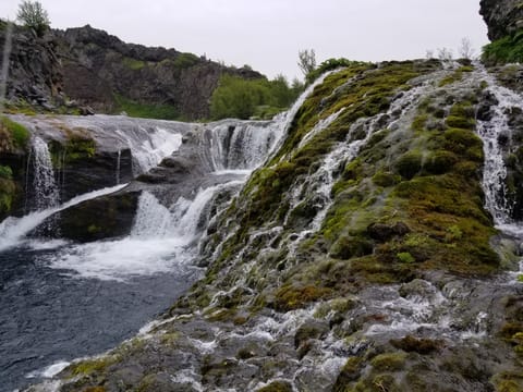 9 Hidden Waterfalls Super Jeep Private Adventure, photo 3