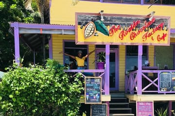 Monkeys & sloth hangout,Chocolate Factory,Rum Factory, island tour/Beach