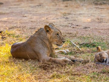 3-Day Samburu safari from Nairobi