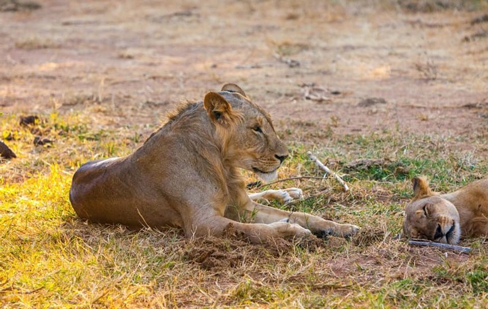 3-Day Luxury Safari Tour to Samburu from Nairobi