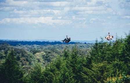 Kereita Forest Adventure Tour: Zip Lining and Biking