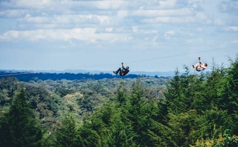 Kereita Forest Adventure Tour: Zip Lining and Biking
