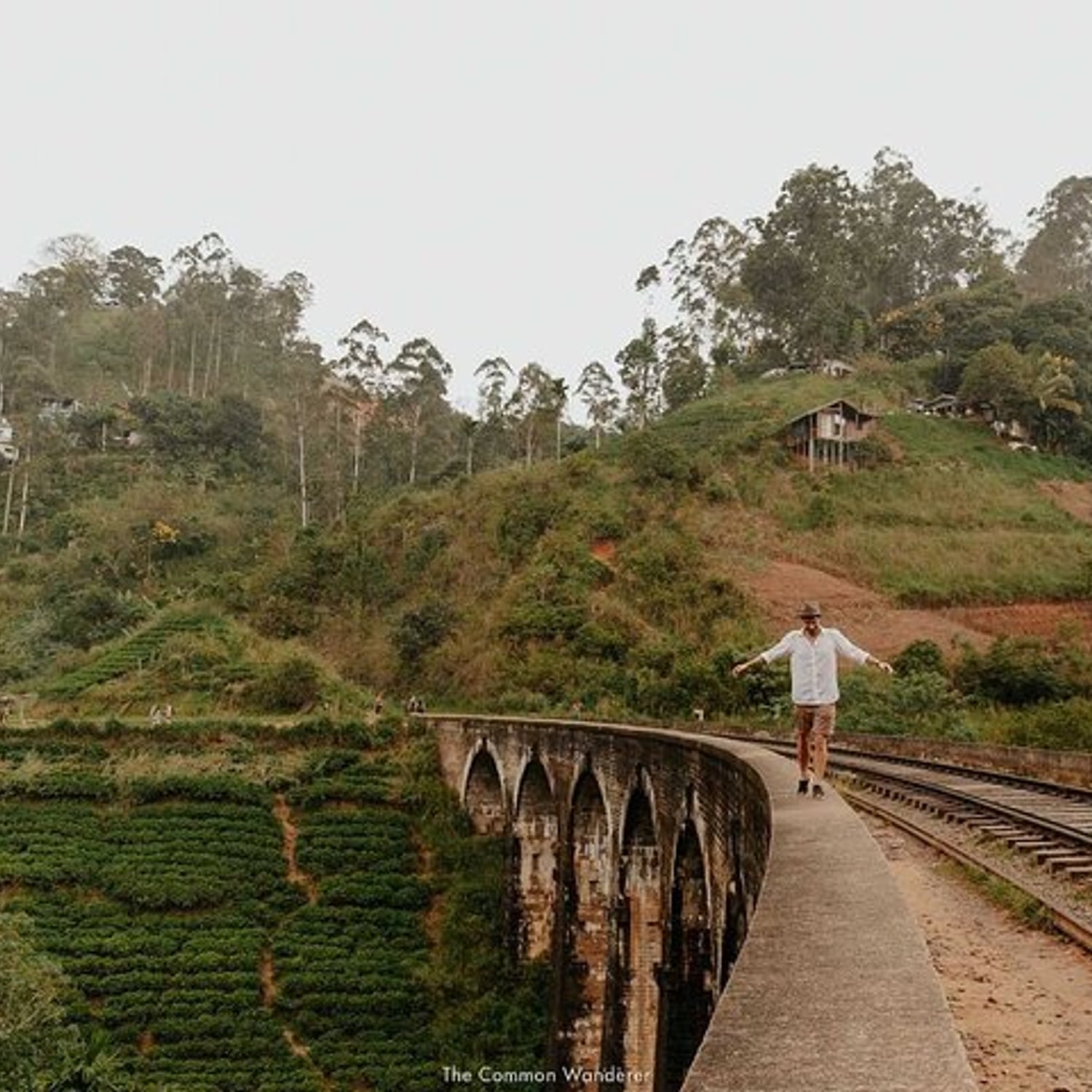 Ella Day Tour with Tea Factory Visit from Colombo or Negombo