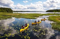 Authentic Reindeer Farm Visit with Canoe Trip in the Nature