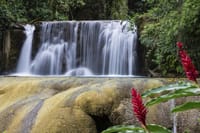 YS Falls