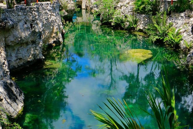 Tour en Cenote de Tulum 5 Cenotes y Despierta Tus Sentidos