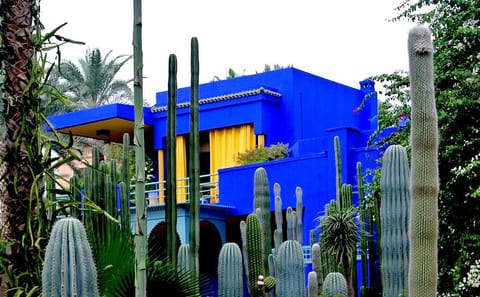 Majorelle Garden and Berber Museum Tour in Marrakech