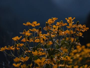 Hiking Tour to Pico Ruivo and Achada do Teixeira in Funchal