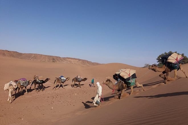 Camel Trek Morocco 8 Days photo 5