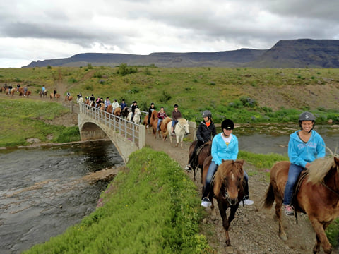 Silfra Snorkeling - with underwater photos & Horseback riding, photo 13