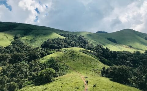 6-Day Cultural and Hiking Tour of Bhutan's Paro and Punakha